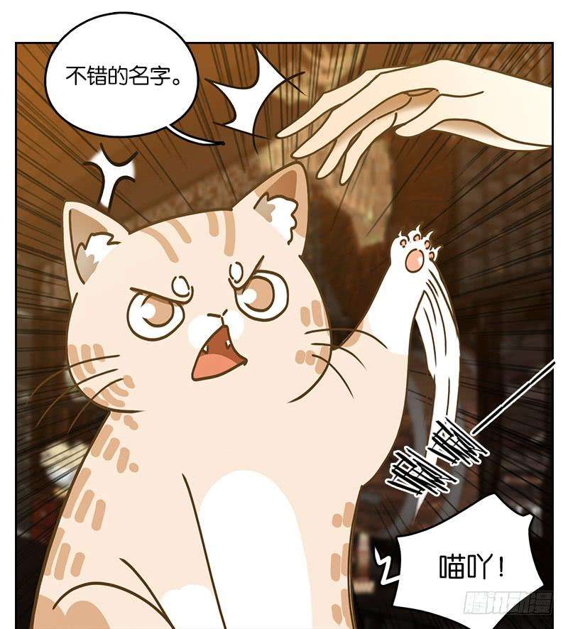 妖怪酒馆37话 舐犊之情（一）