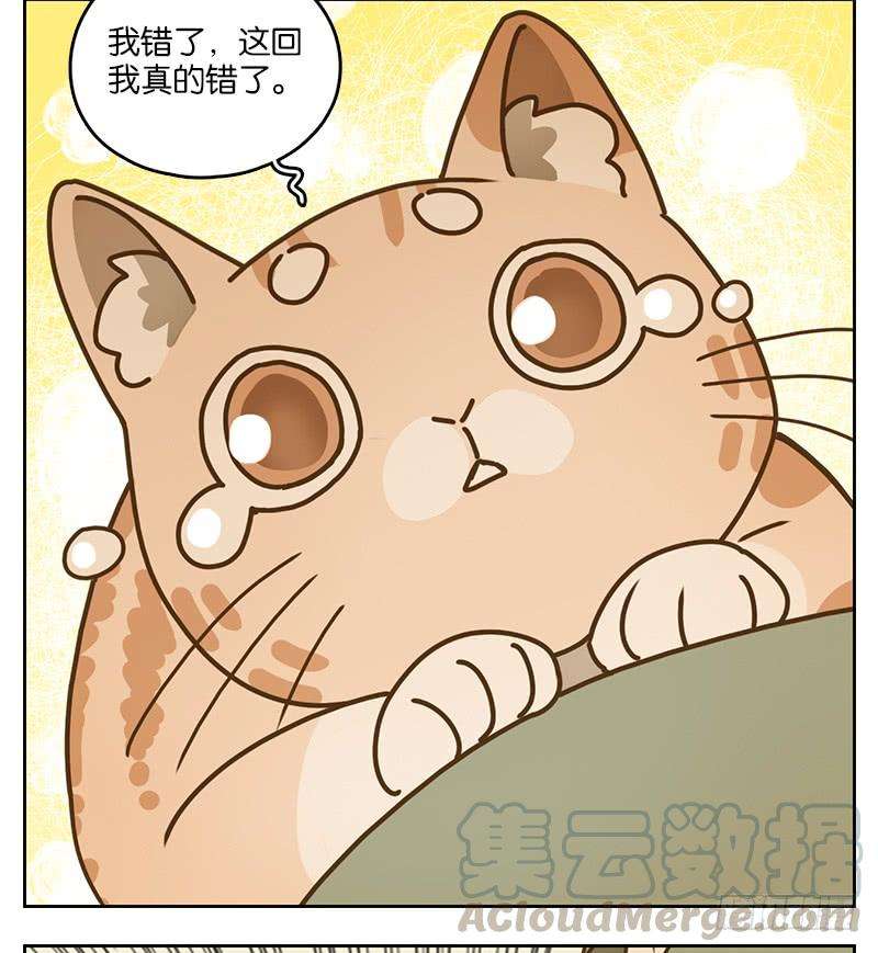妖怪酒馆39话 舐犊之情（三）