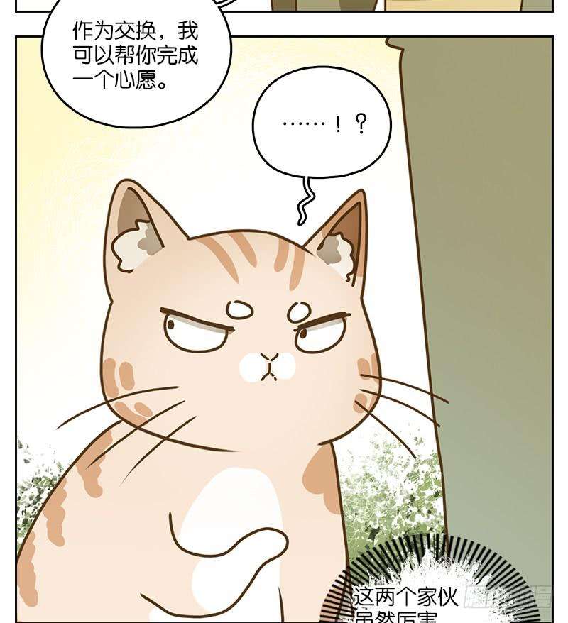 妖怪酒馆39话 舐犊之情（三）
