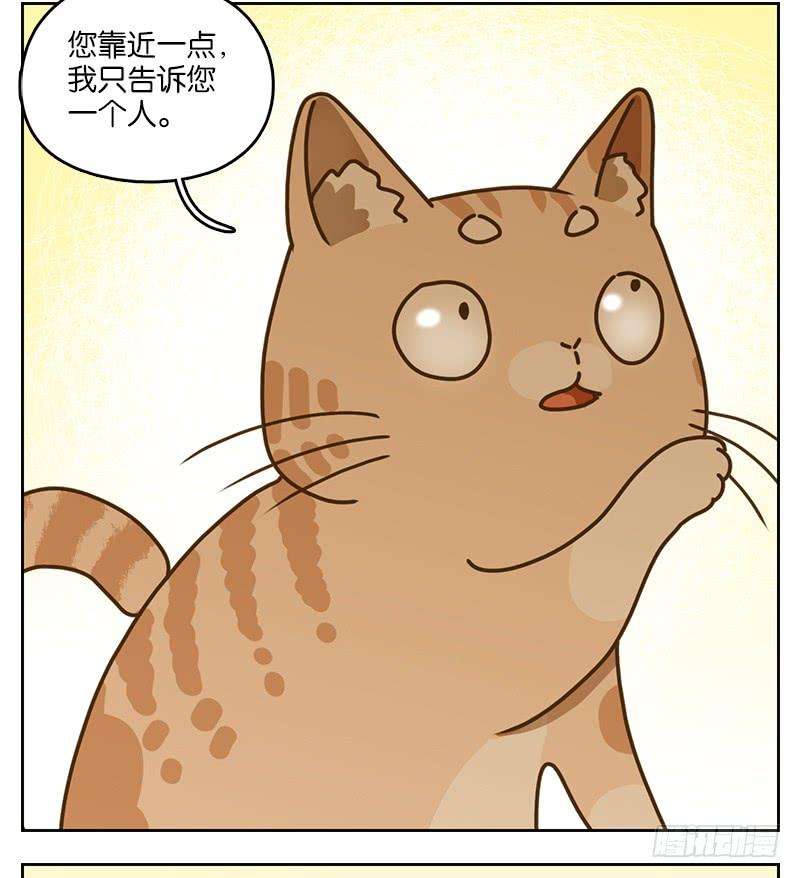 妖怪酒馆39话 舐犊之情（三）
