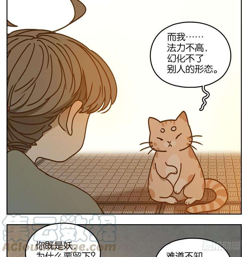 妖怪酒馆41话 舐犊之情（五）