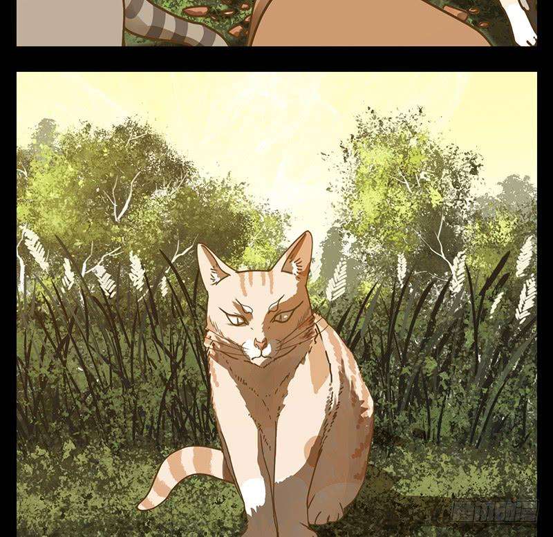 妖怪酒馆42话 舐犊之情（六）