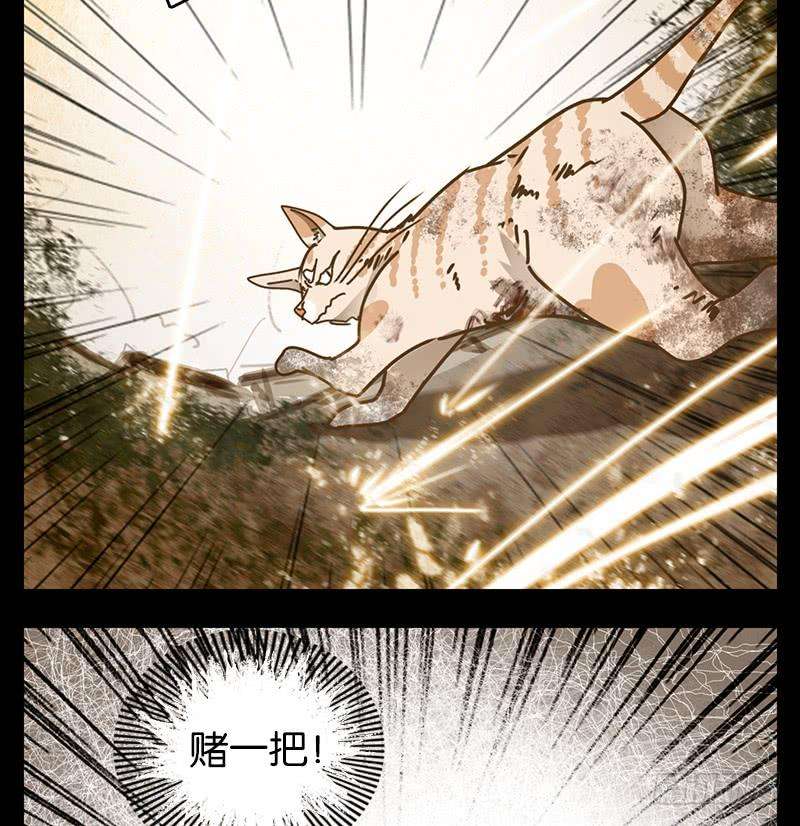 妖怪酒馆42话 舐犊之情（六）