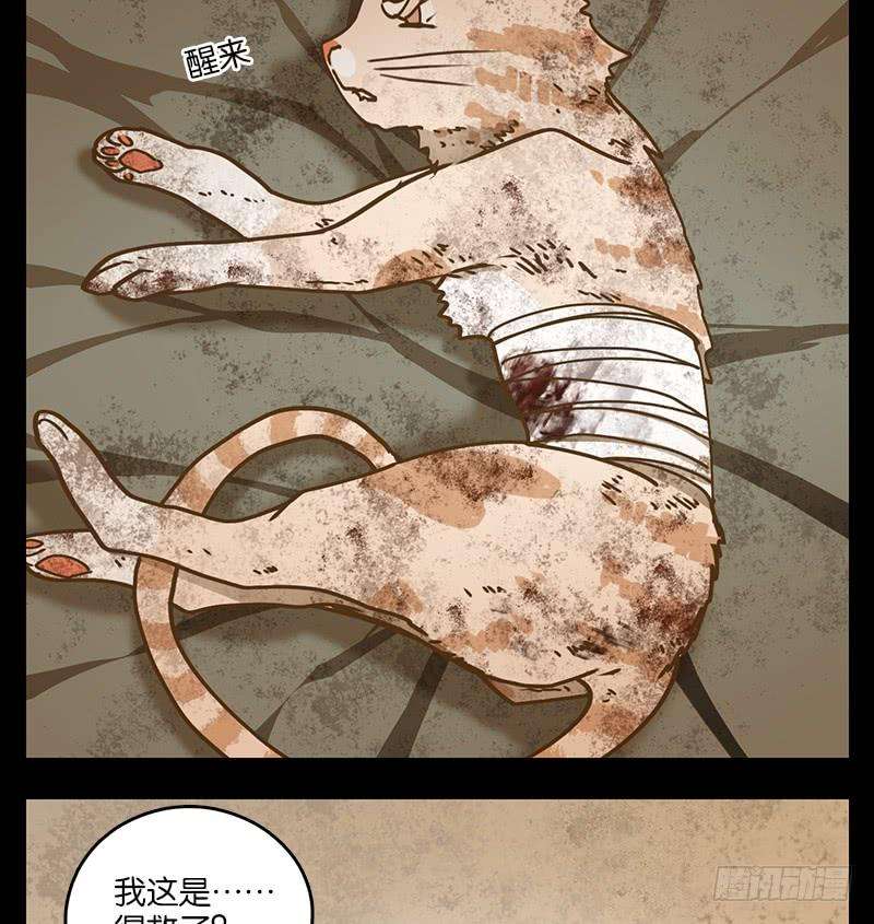 妖怪酒馆42话 舐犊之情（六）