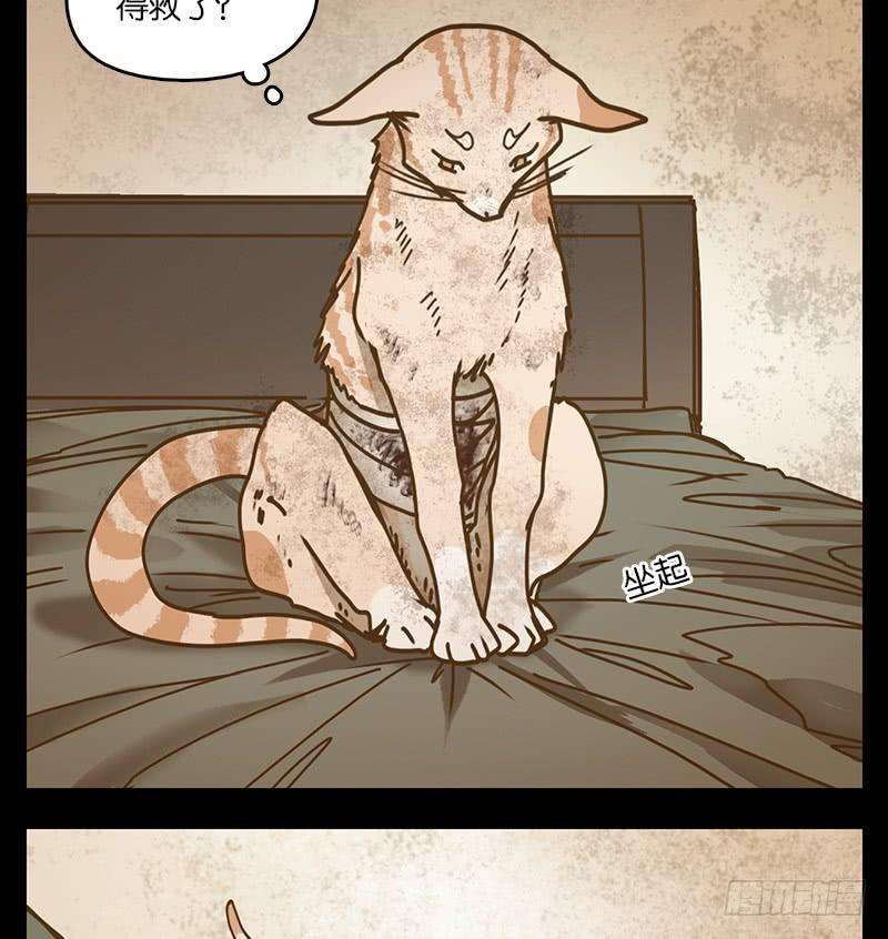 妖怪酒馆42话 舐犊之情（六）