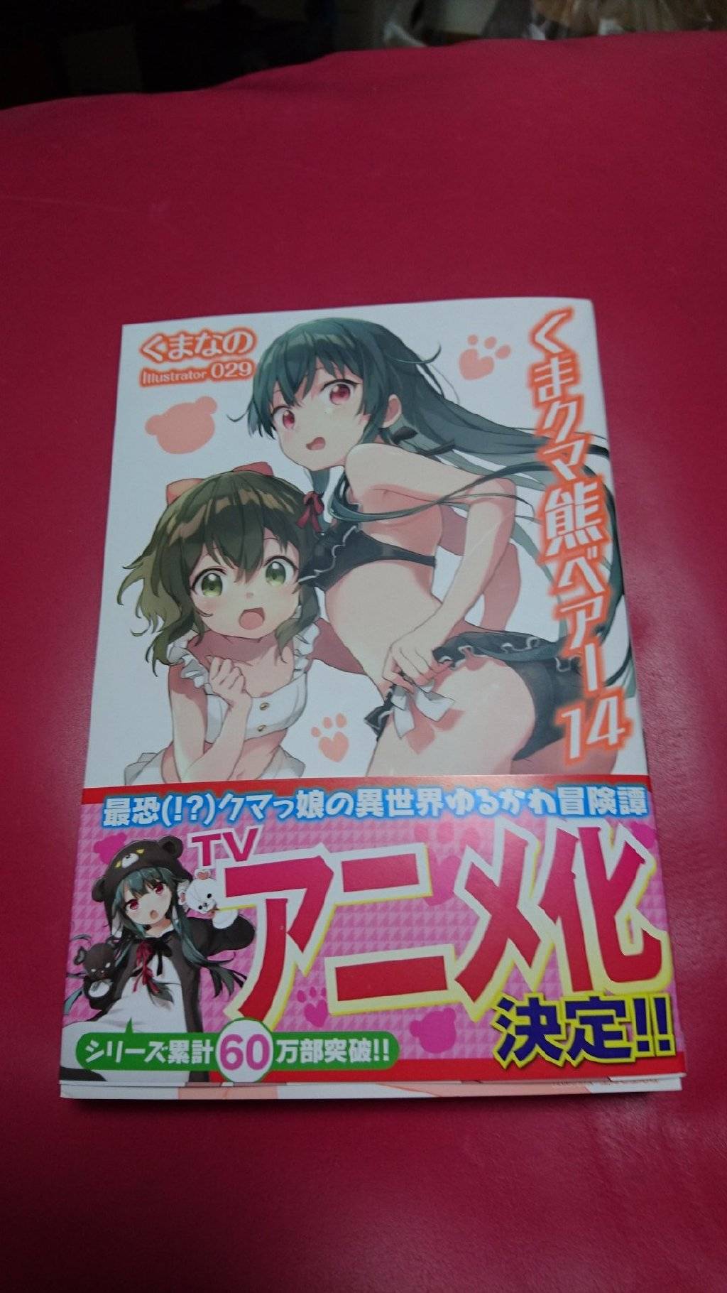 熊熊勇闯异世界动画化