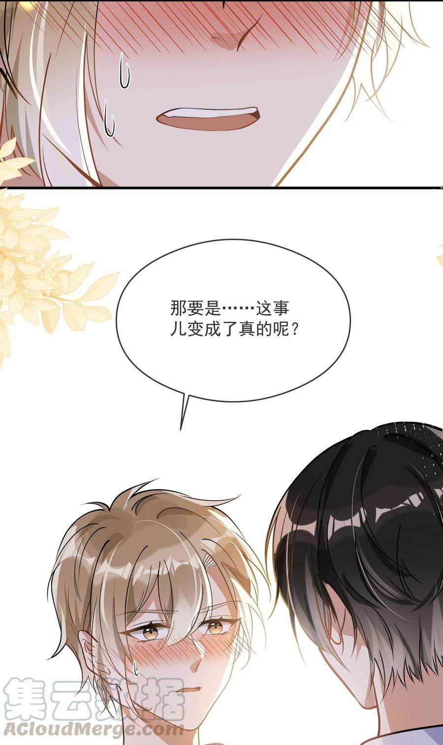 我长得帅就可以为所欲为014 我不想再暗恋你了