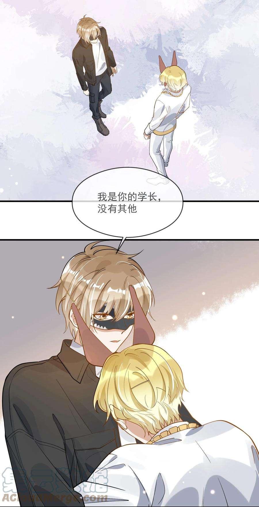 我长得帅就可以为所欲为039 假面舞会