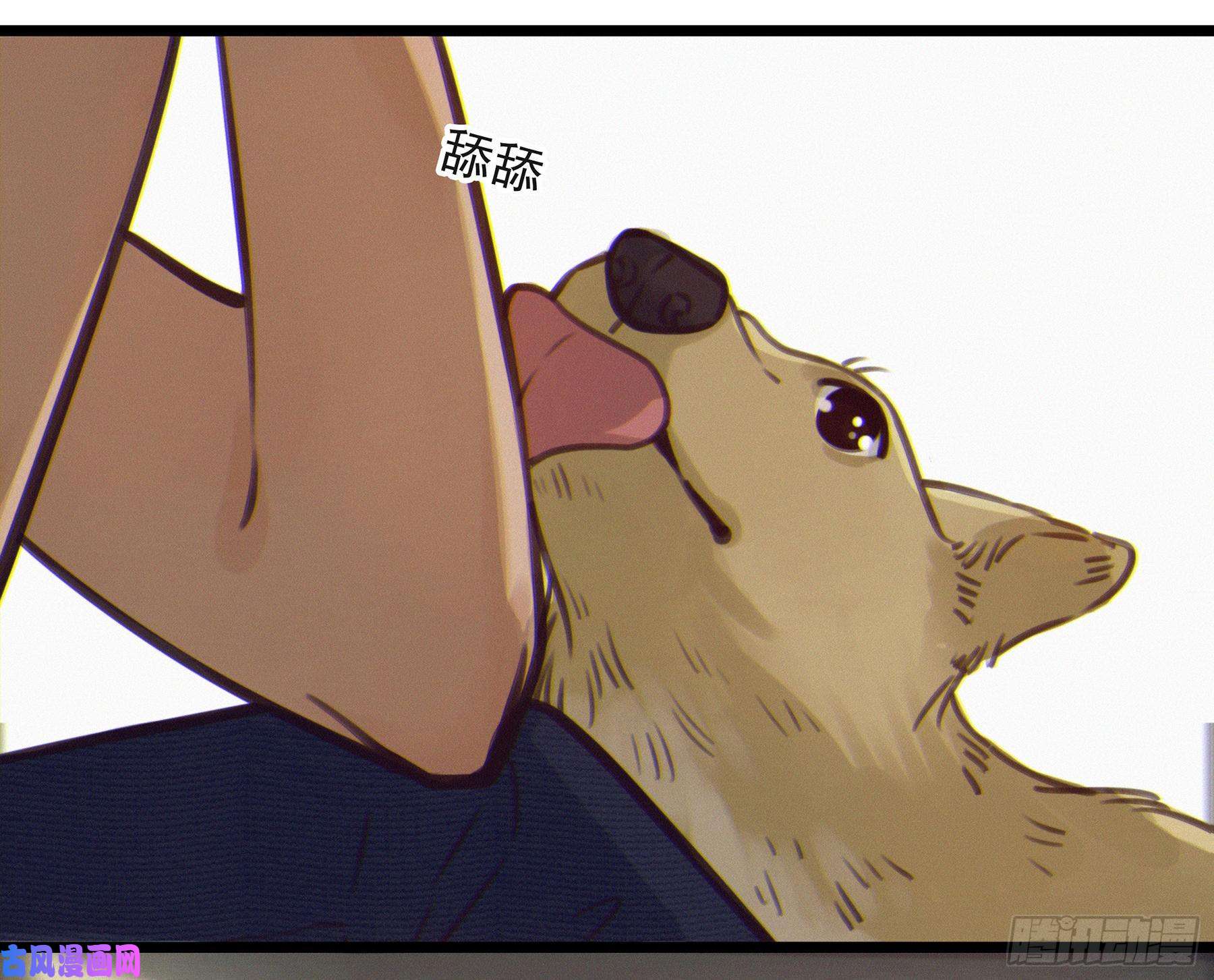 星夜02.免赔条件