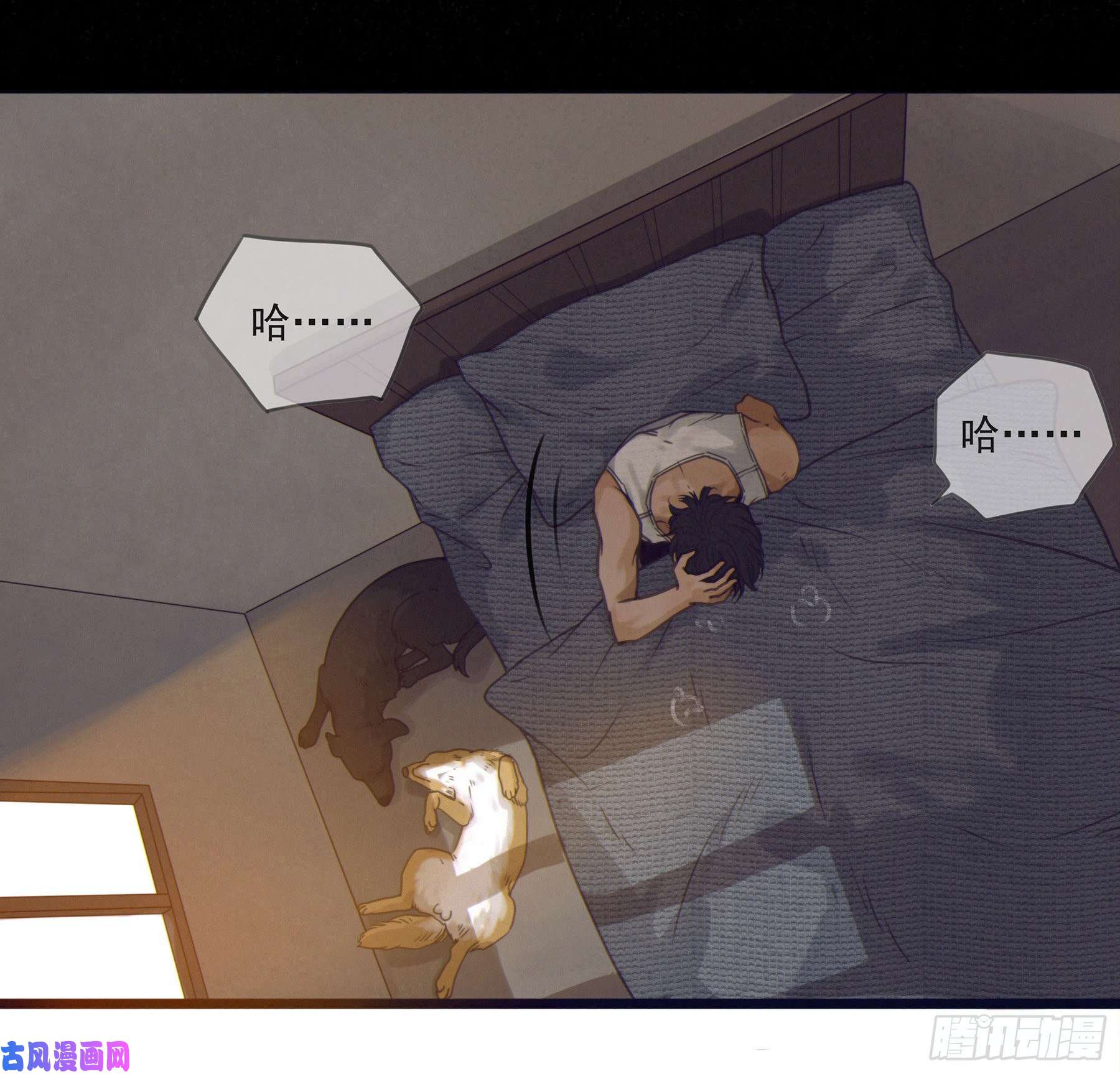 星夜02.免赔条件