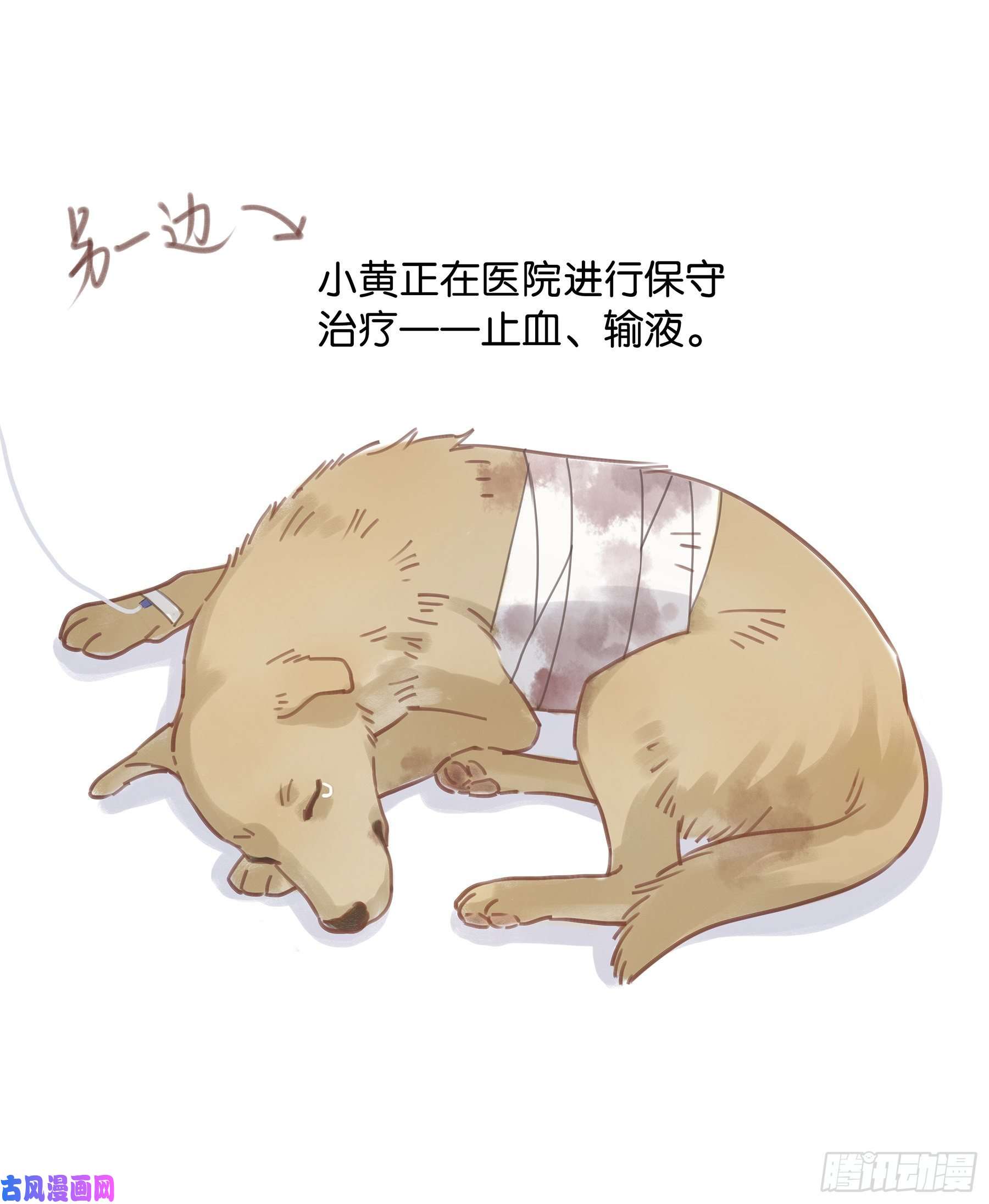 星夜04. “验货”