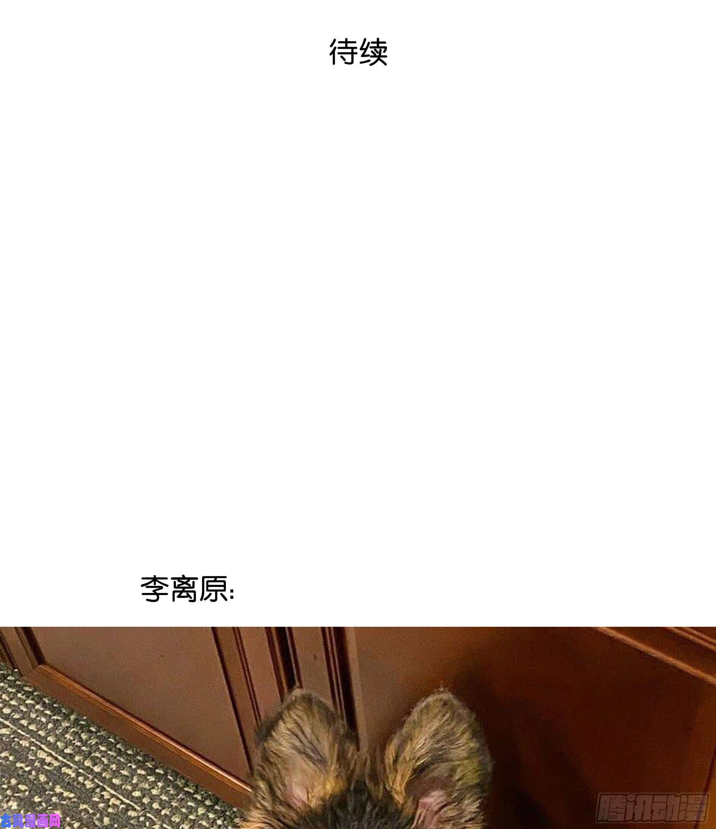 星夜21. 月光下的秘密