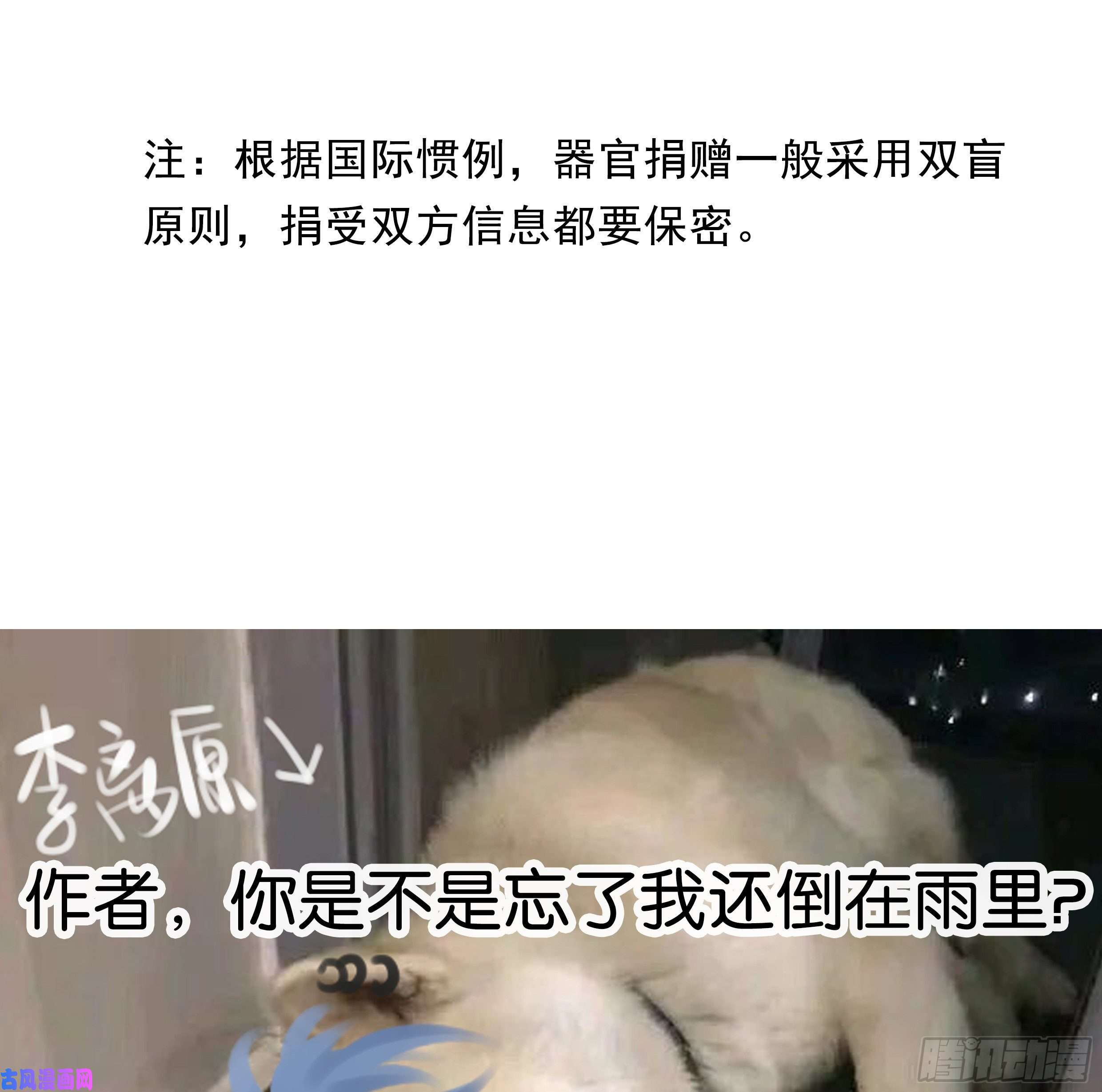 星夜23. 属于夜的星星