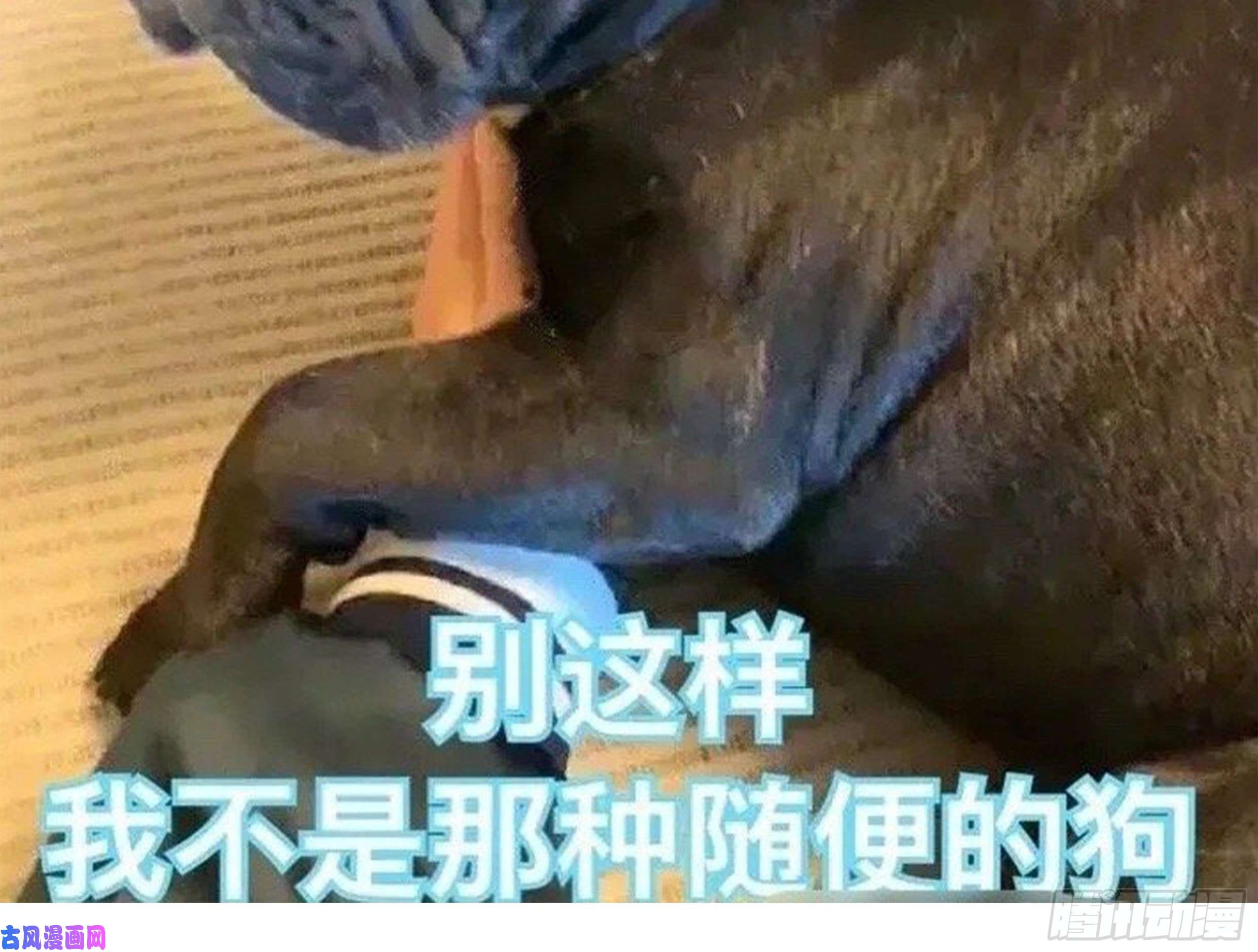 星夜24. 心之所向