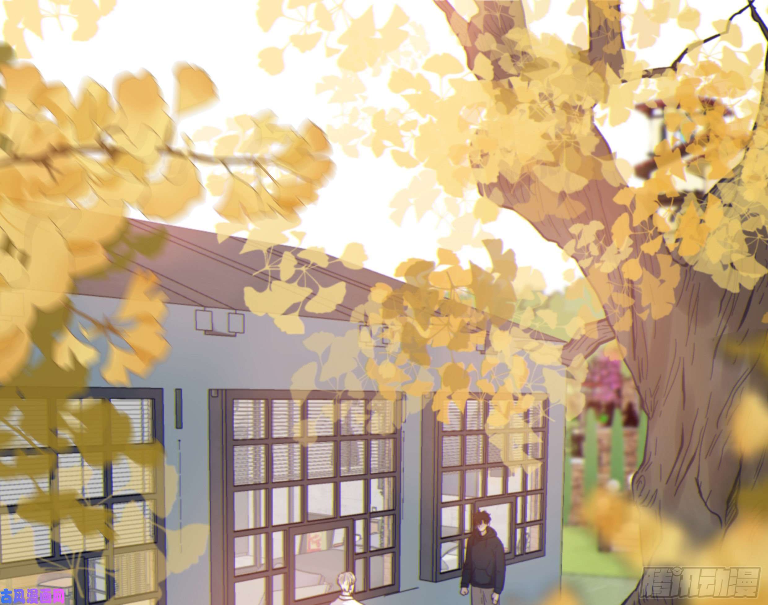 星夜27. 深入研究