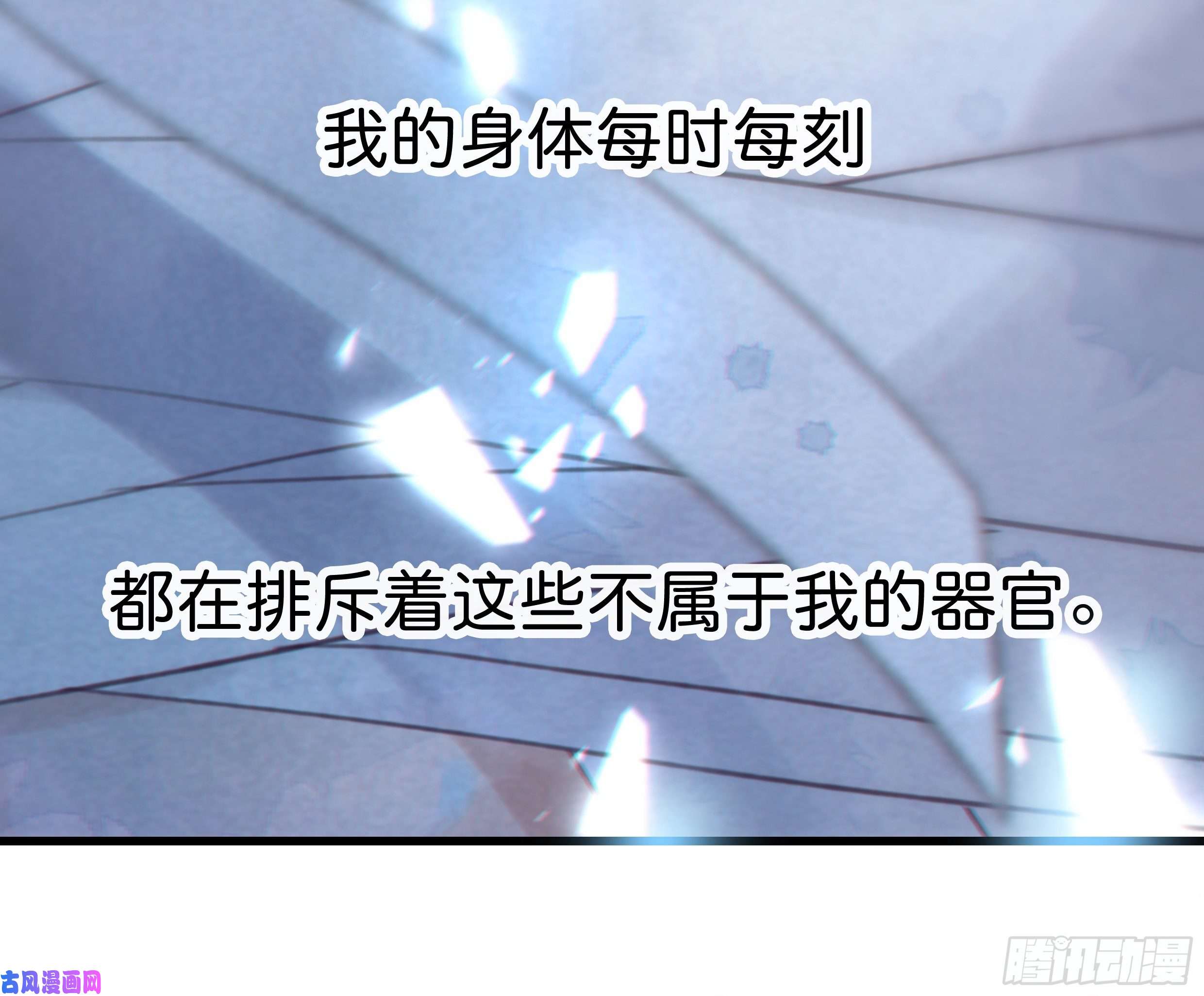 星夜37. 活着，遇见你