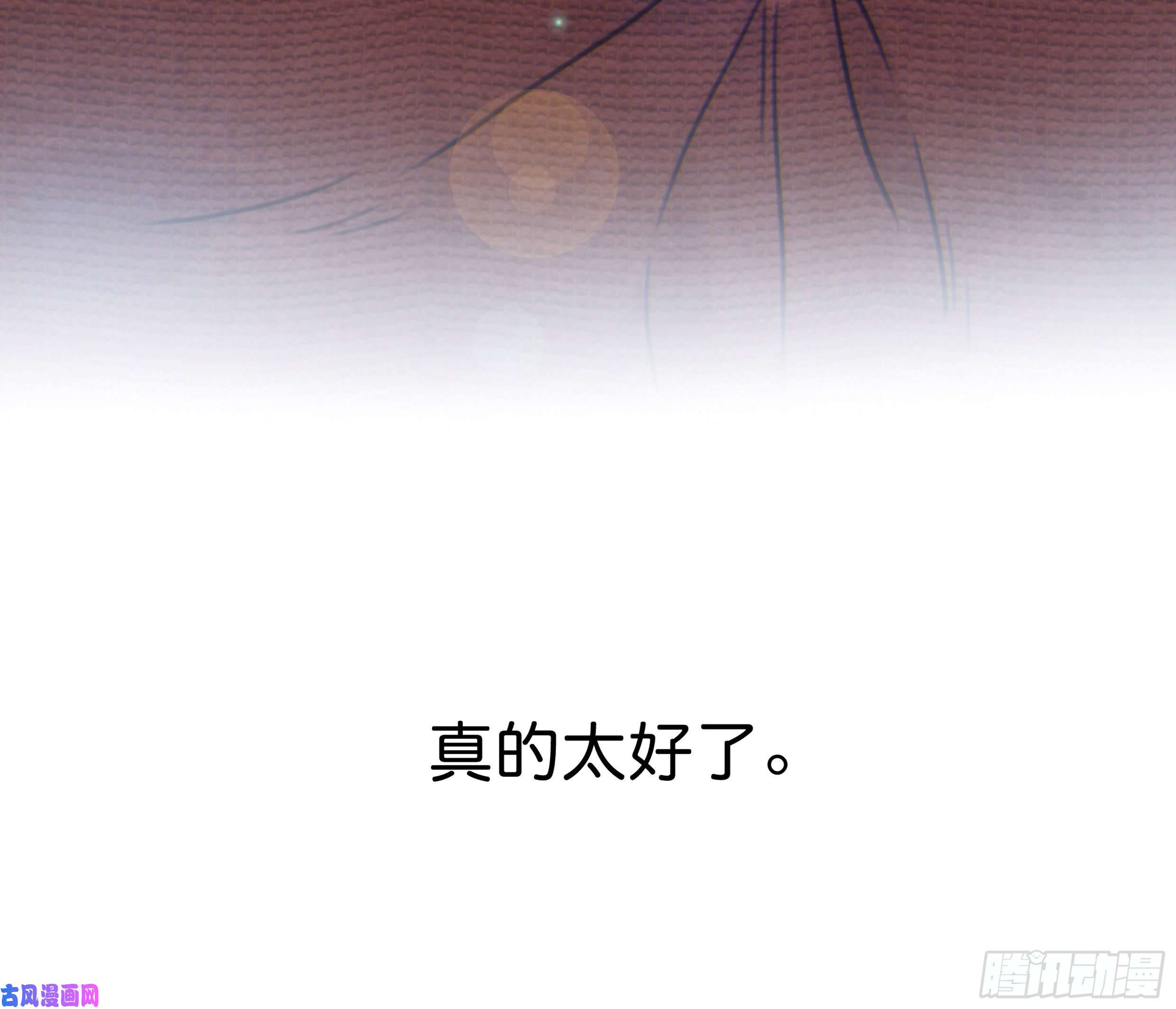 星夜37. 活着，遇见你