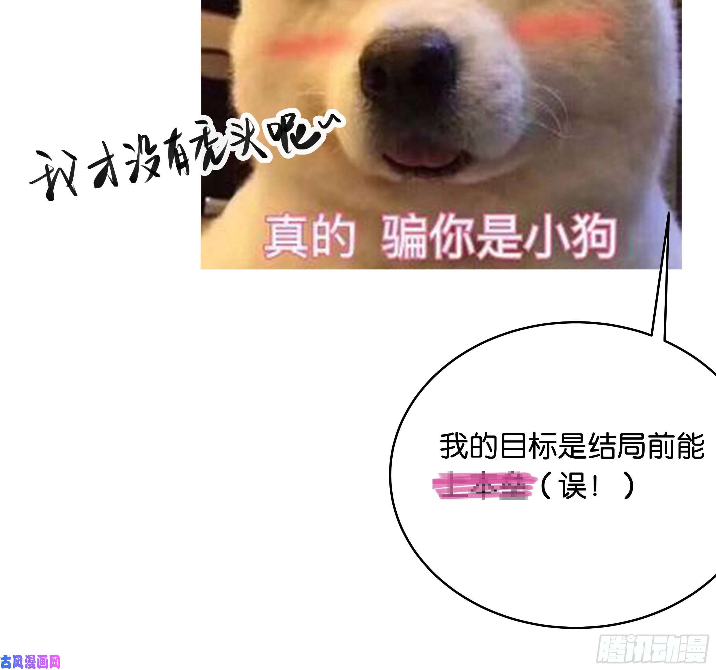 星夜37. 活着，遇见你