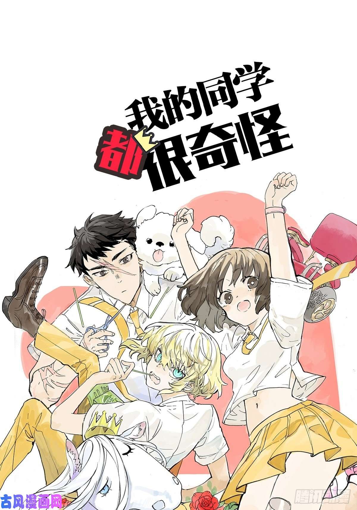 我的同学都很奇怪学习会给我好好学习啊 !！