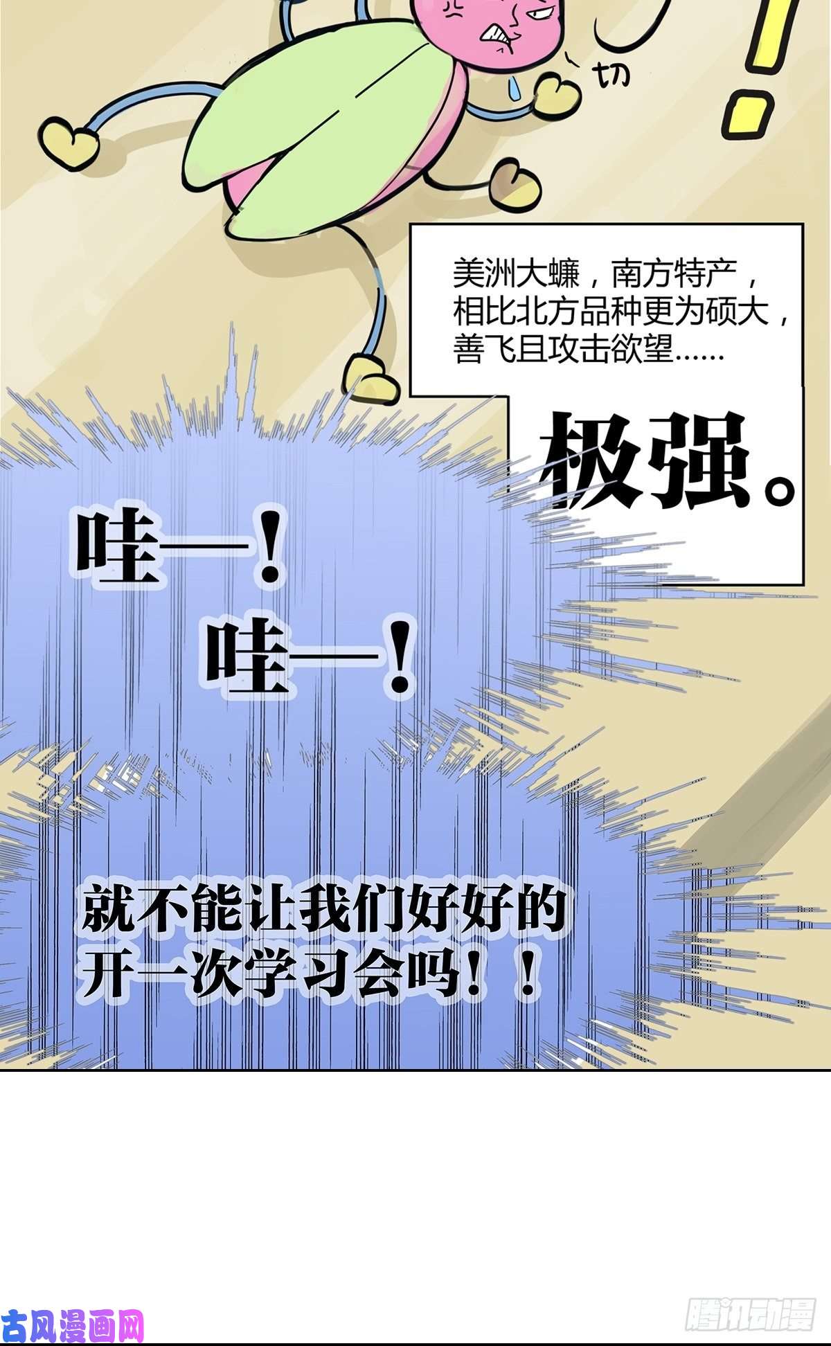 我的同学都很奇怪学习会给我好好学习啊 !！