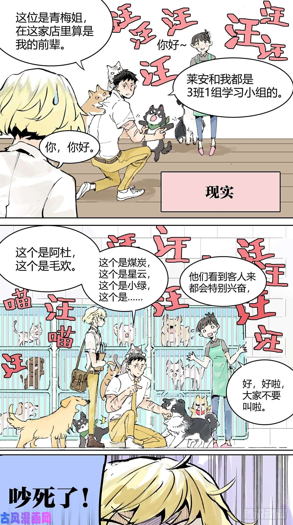 我的同学都很奇怪孤傲的狂犬与狗