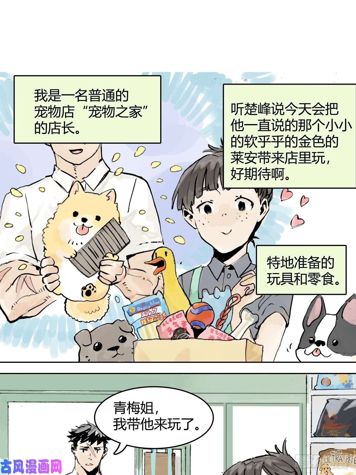 我的同学都很奇怪孤傲的狂犬与狗