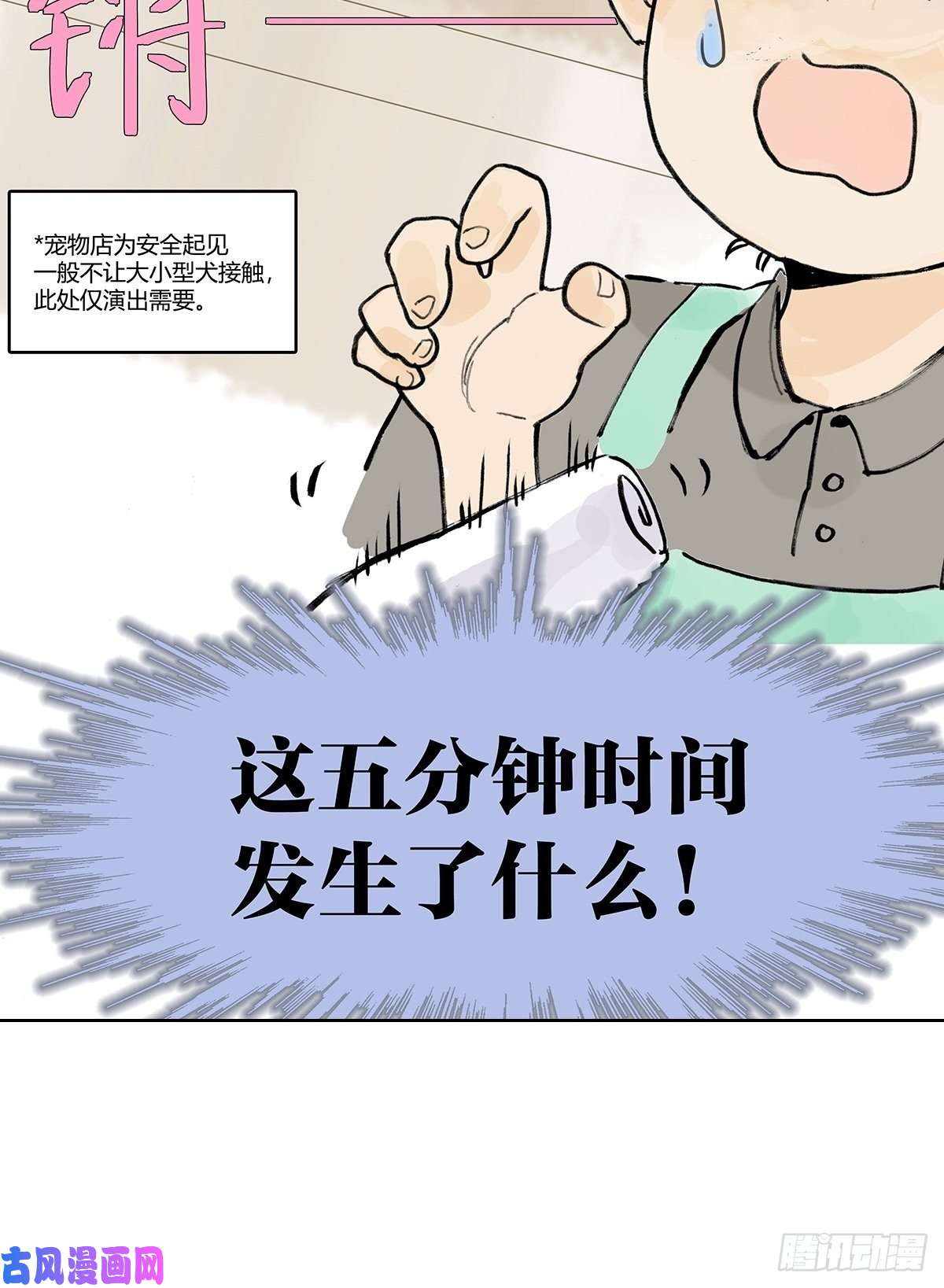 我的同学都很奇怪孤傲的狂犬与狗