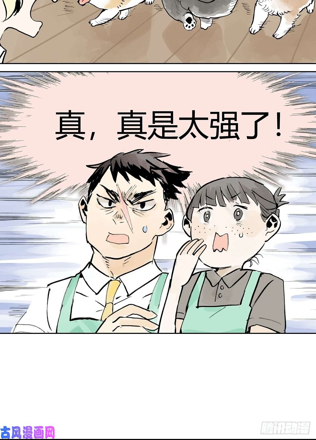 我的同学都很奇怪孤傲的狂犬与狗
