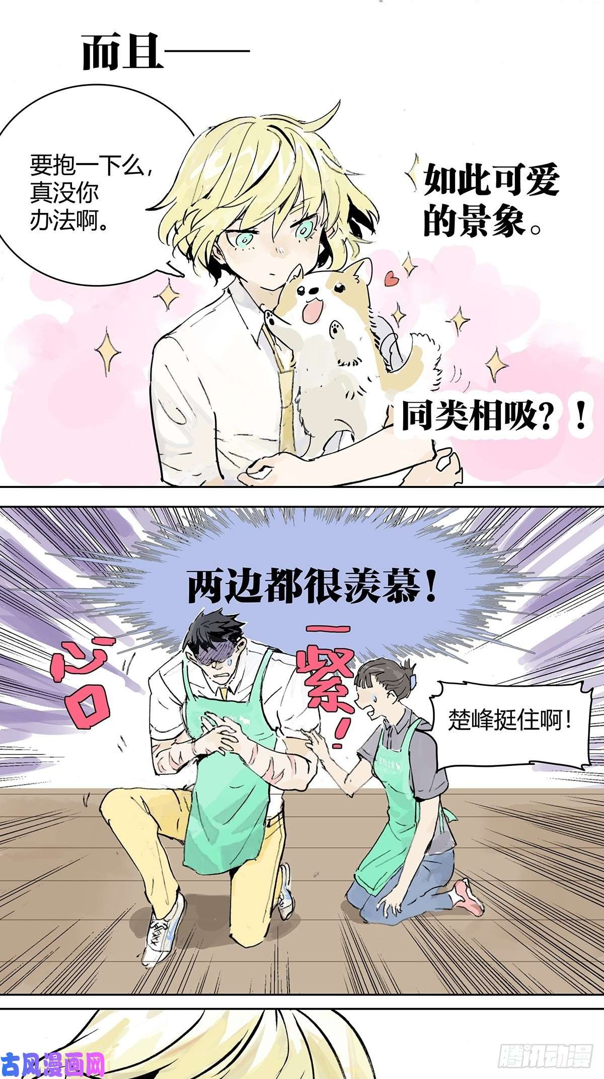 我的同学都很奇怪孤傲的狂犬与狗