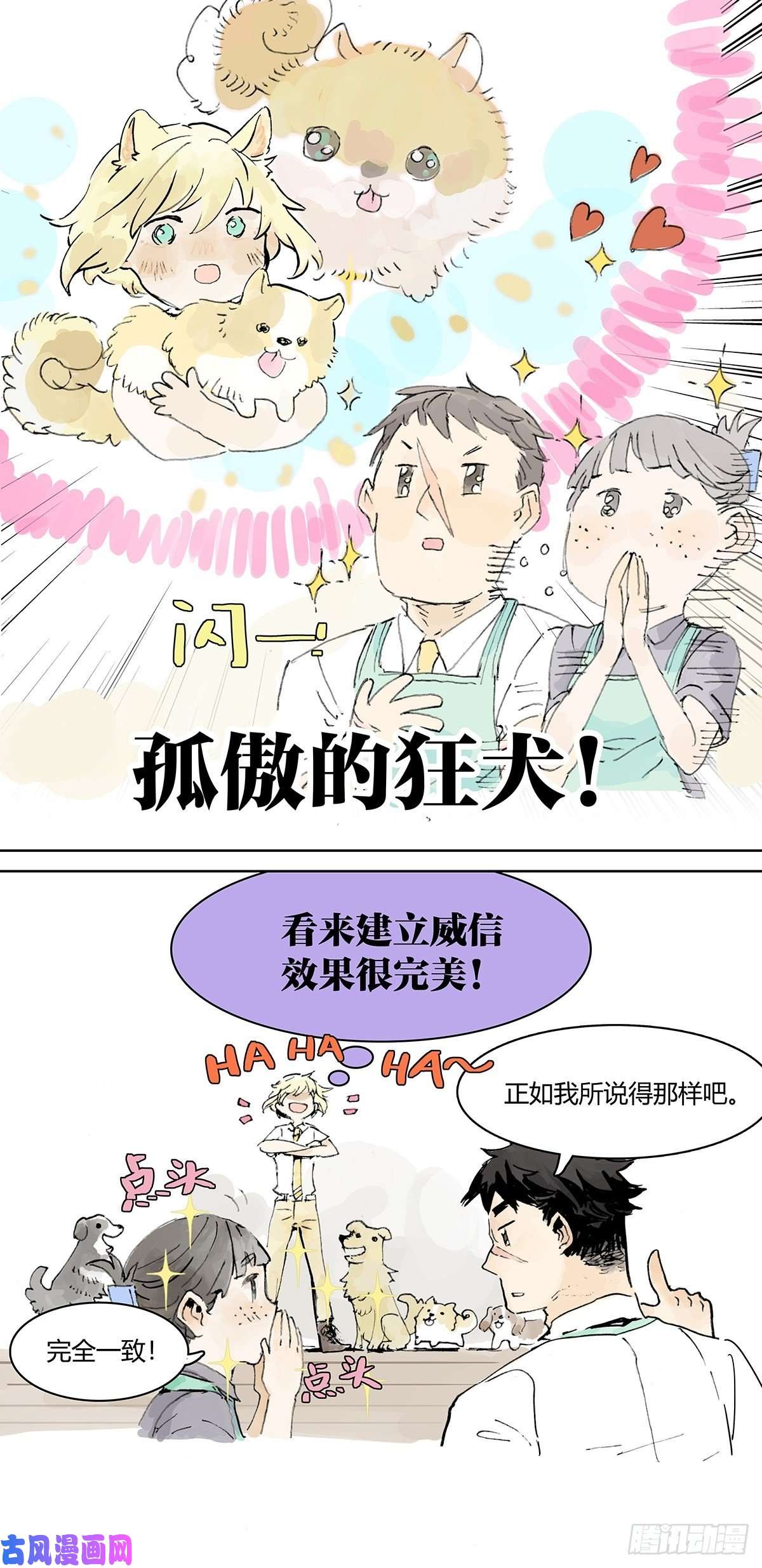 我的同学都很奇怪孤傲的狂犬与狗