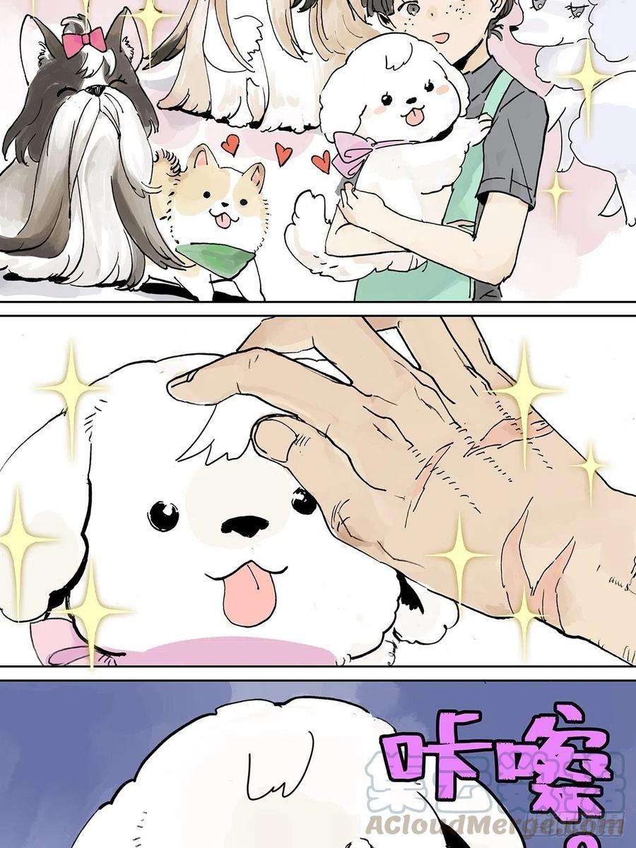 我的同学都很奇怪黄狗狗，白狗狗和魔王