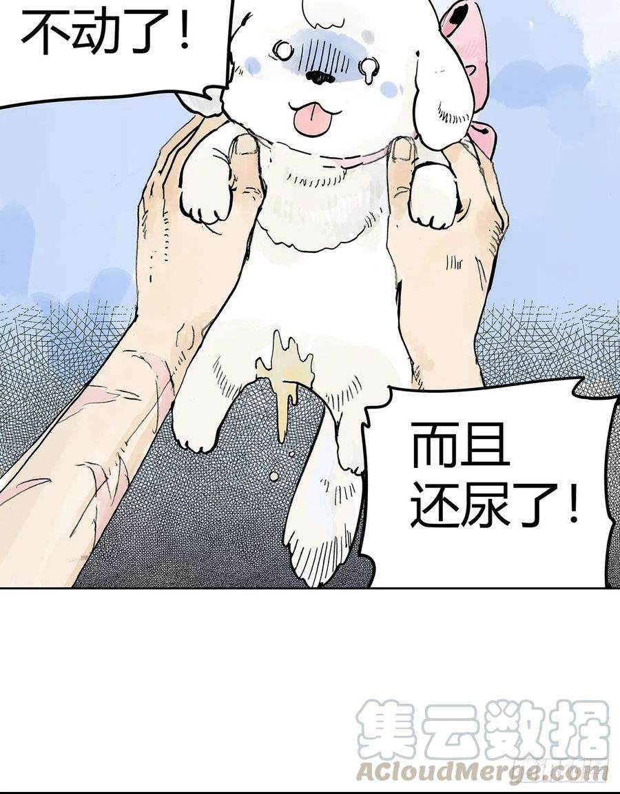 我的同学都很奇怪黄狗狗，白狗狗和魔王