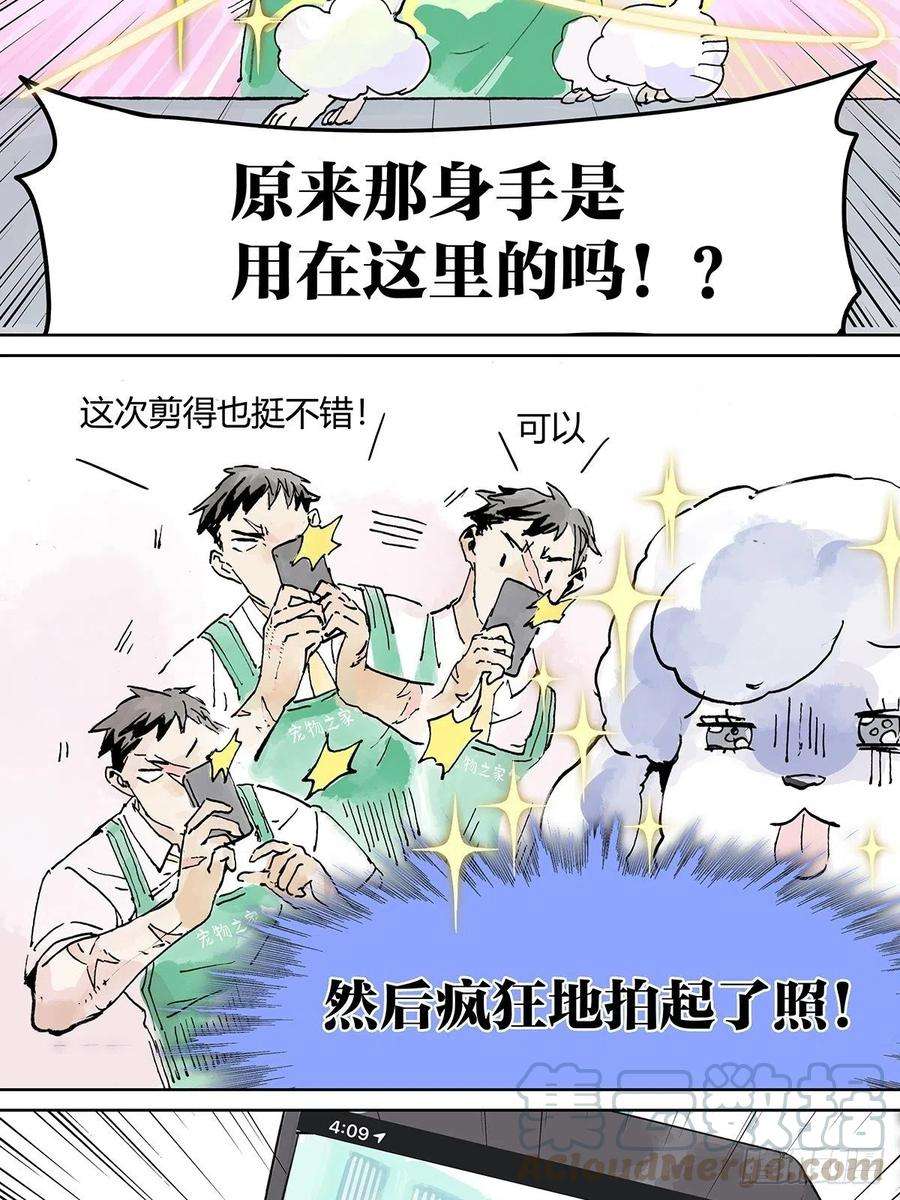 我的同学都很奇怪黄狗狗，白狗狗和魔王