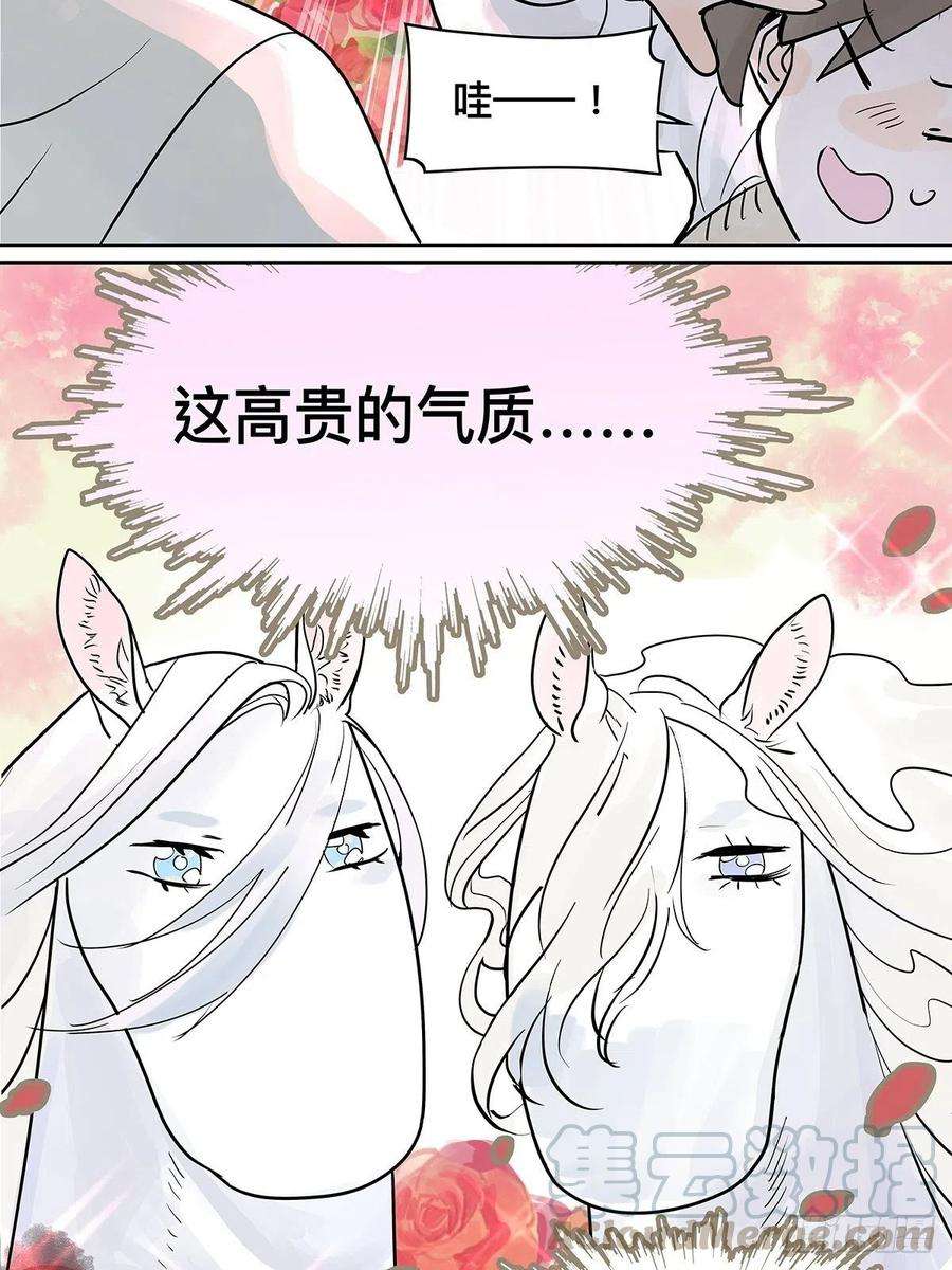 我的同学都很奇怪来到王子家