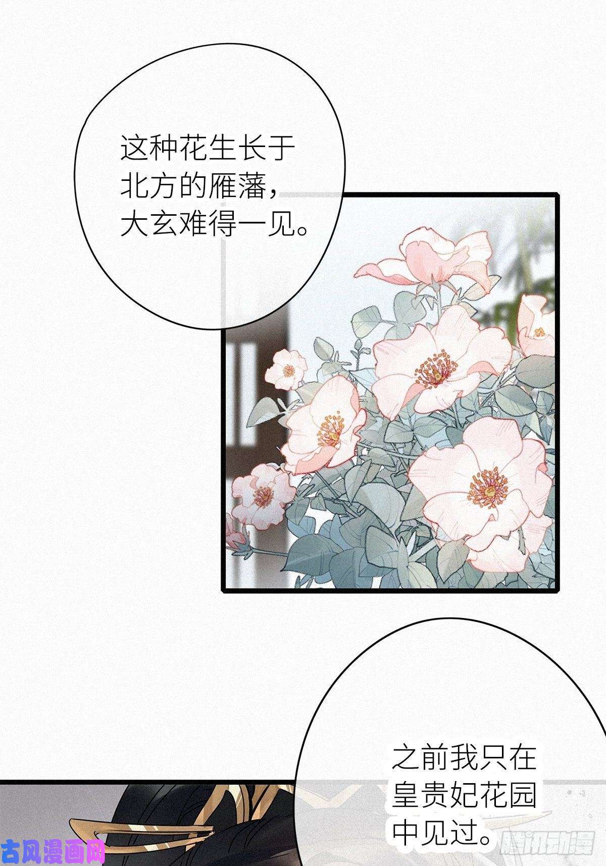 请君入卦第二卦：穿越 2