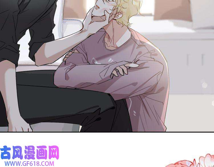 缄默法则完结 你是我的归宿