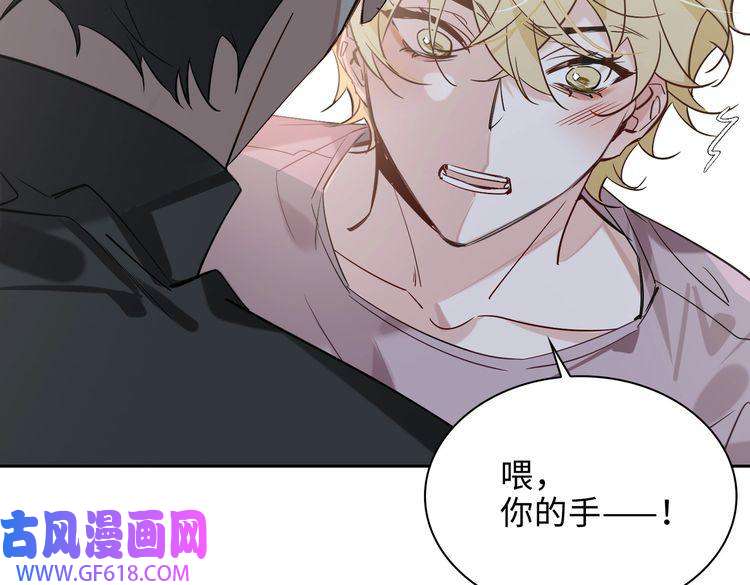 缄默法则完结 你是我的归宿