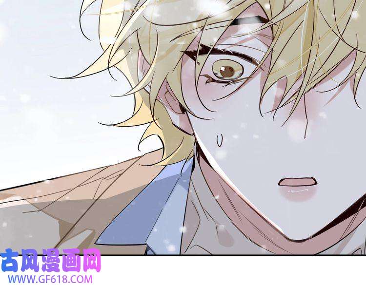 缄默法则完结 你是我的归宿