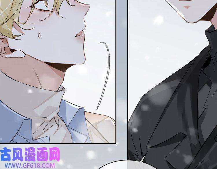 缄默法则完结 你是我的归宿