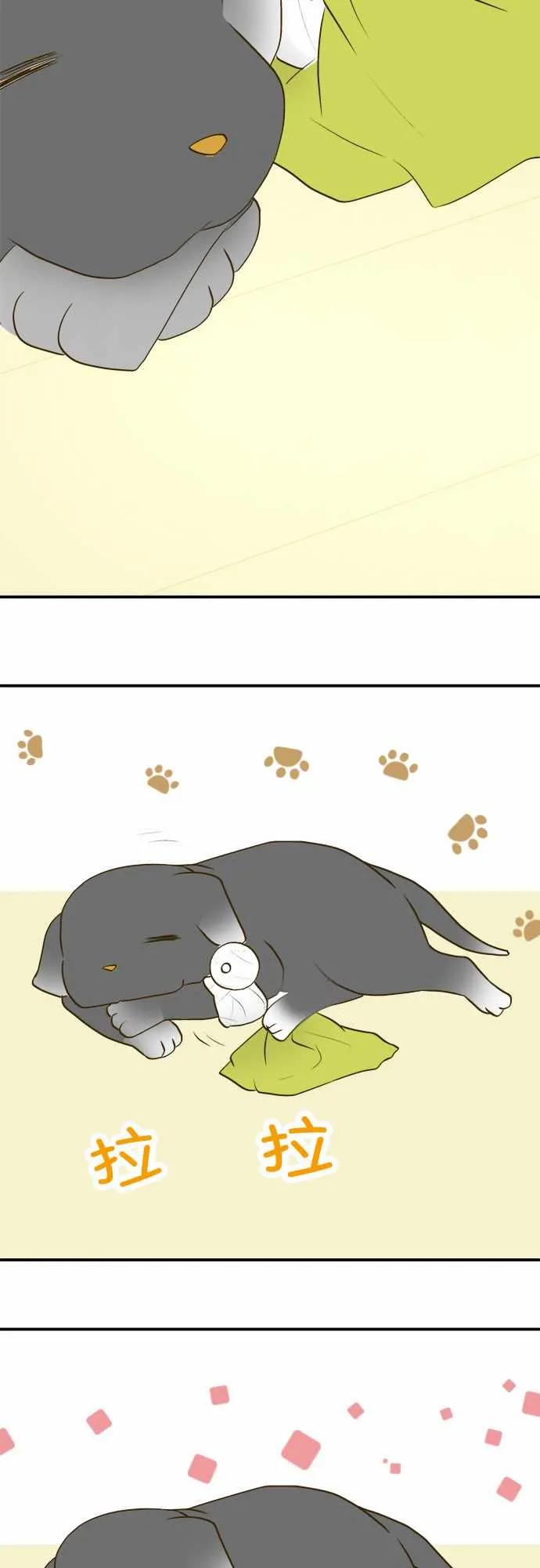 小木乃伊到我家18话