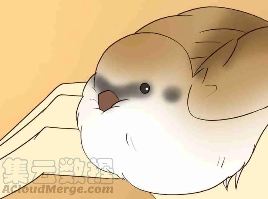 小木乃伊到我家24话