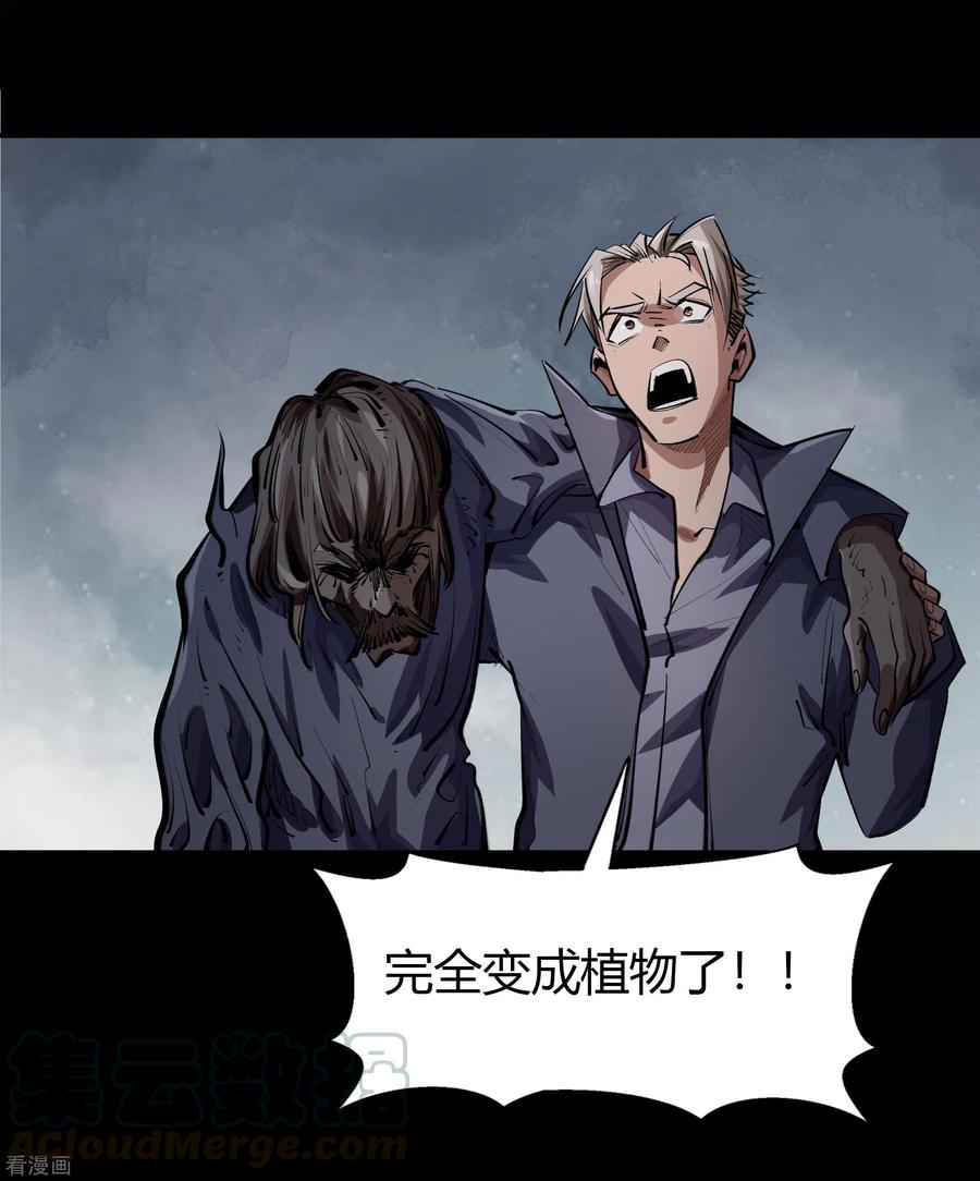 青帝传番外1 青莲前传