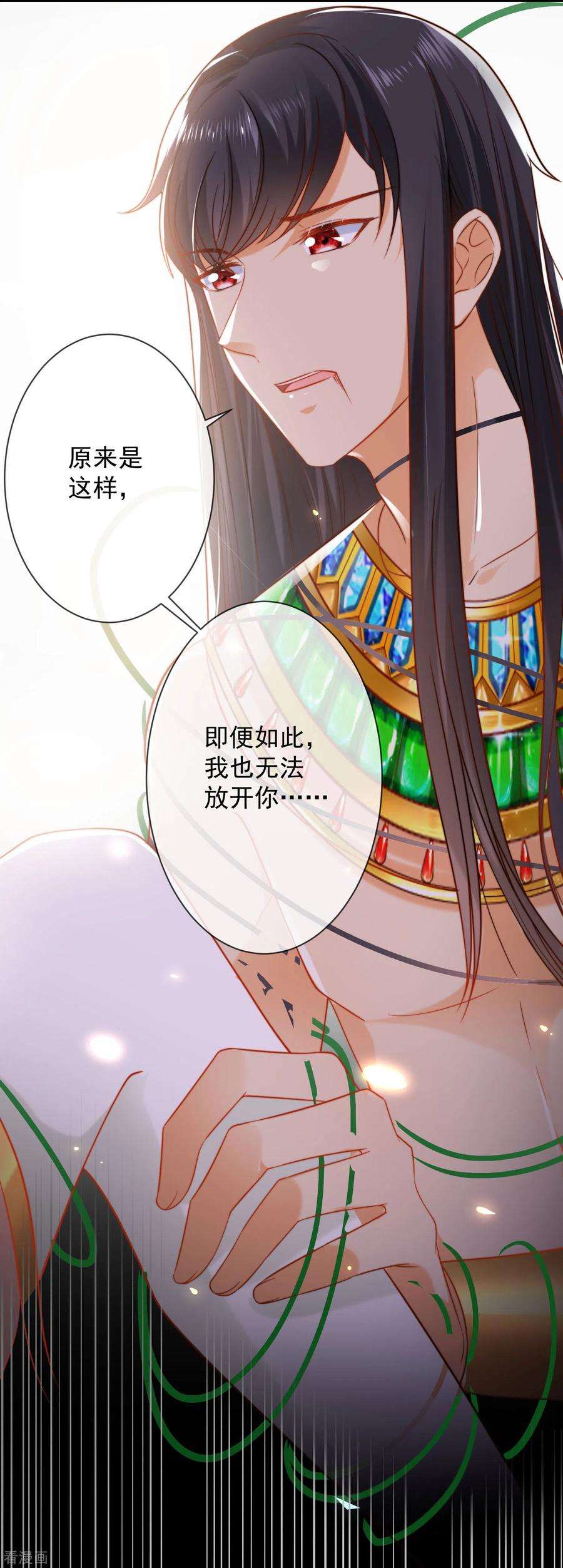 王的第一宠后56话 原来我就是她！