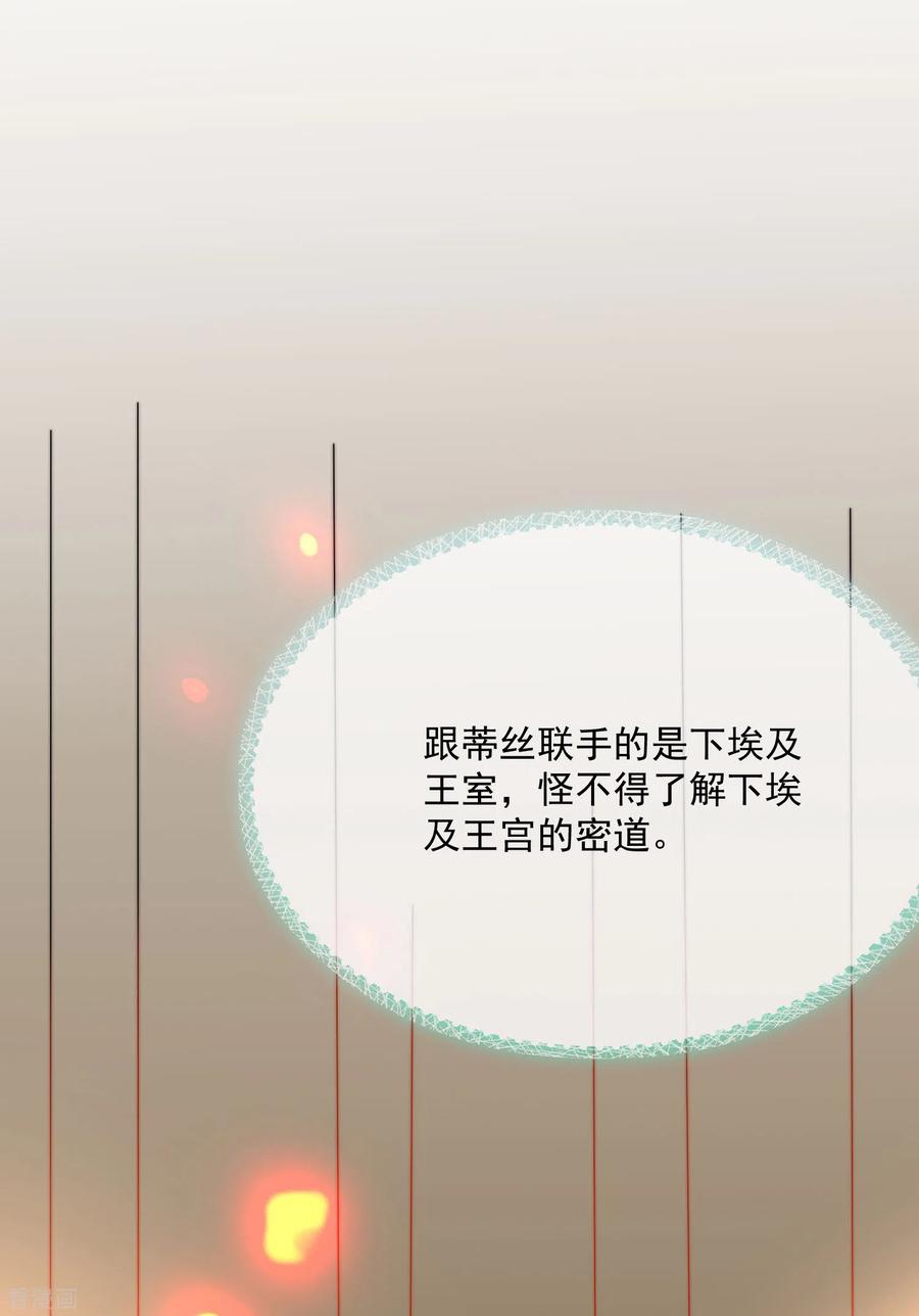 王的第一宠后88话 王的野心！