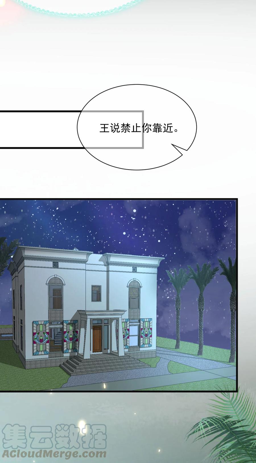 王的第一宠后88话 王的野心！