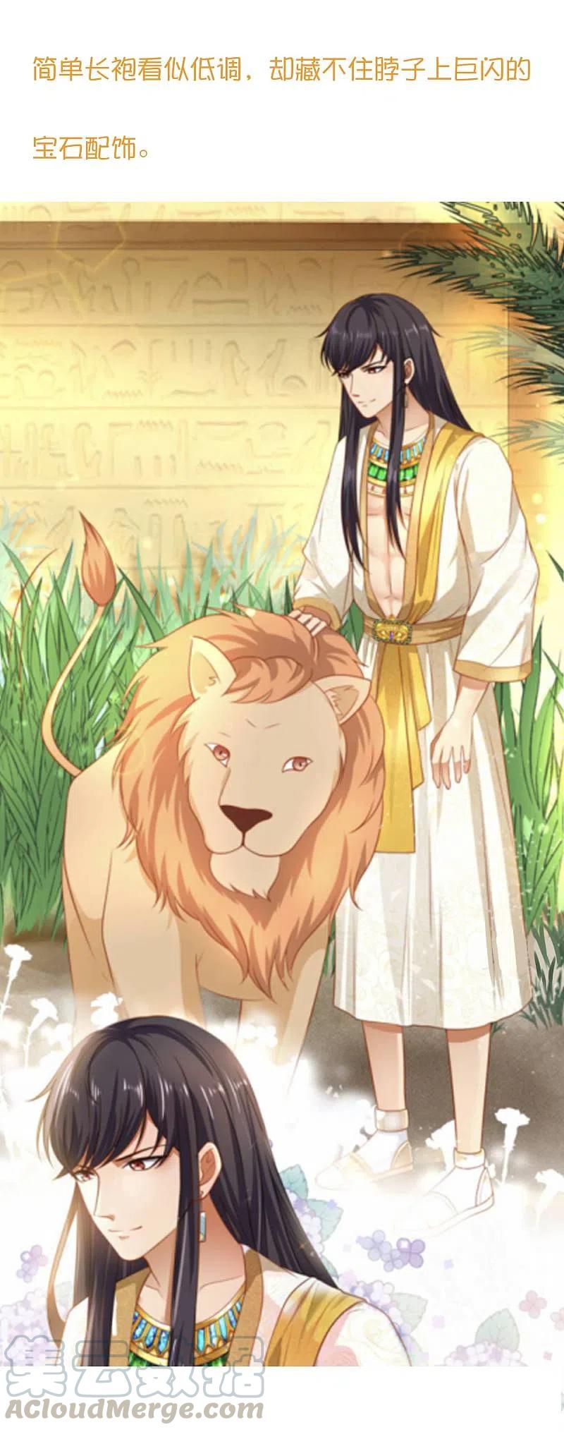 王的第一宠后116话 神仙打架，小鬼遭殃