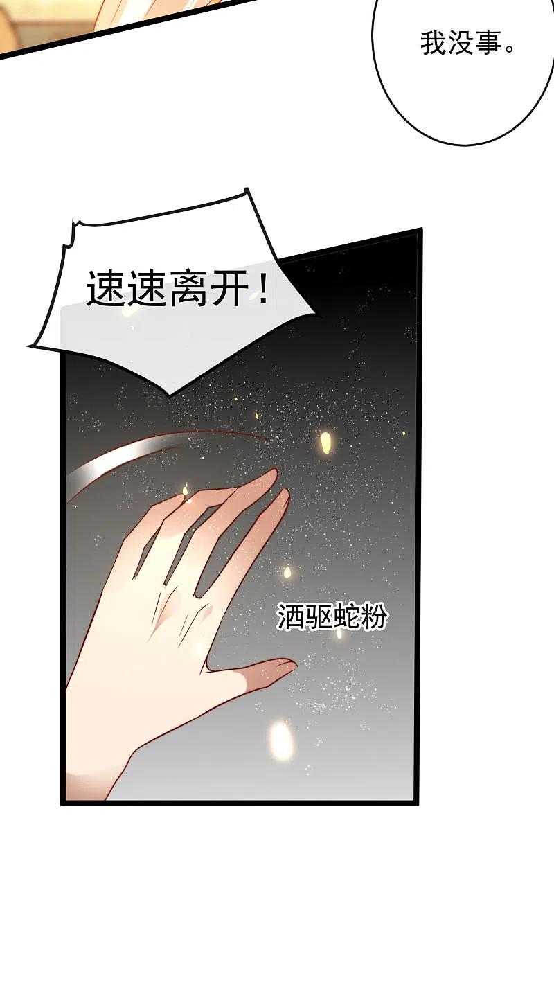 王的第一宠后118话 给佩奇配种！