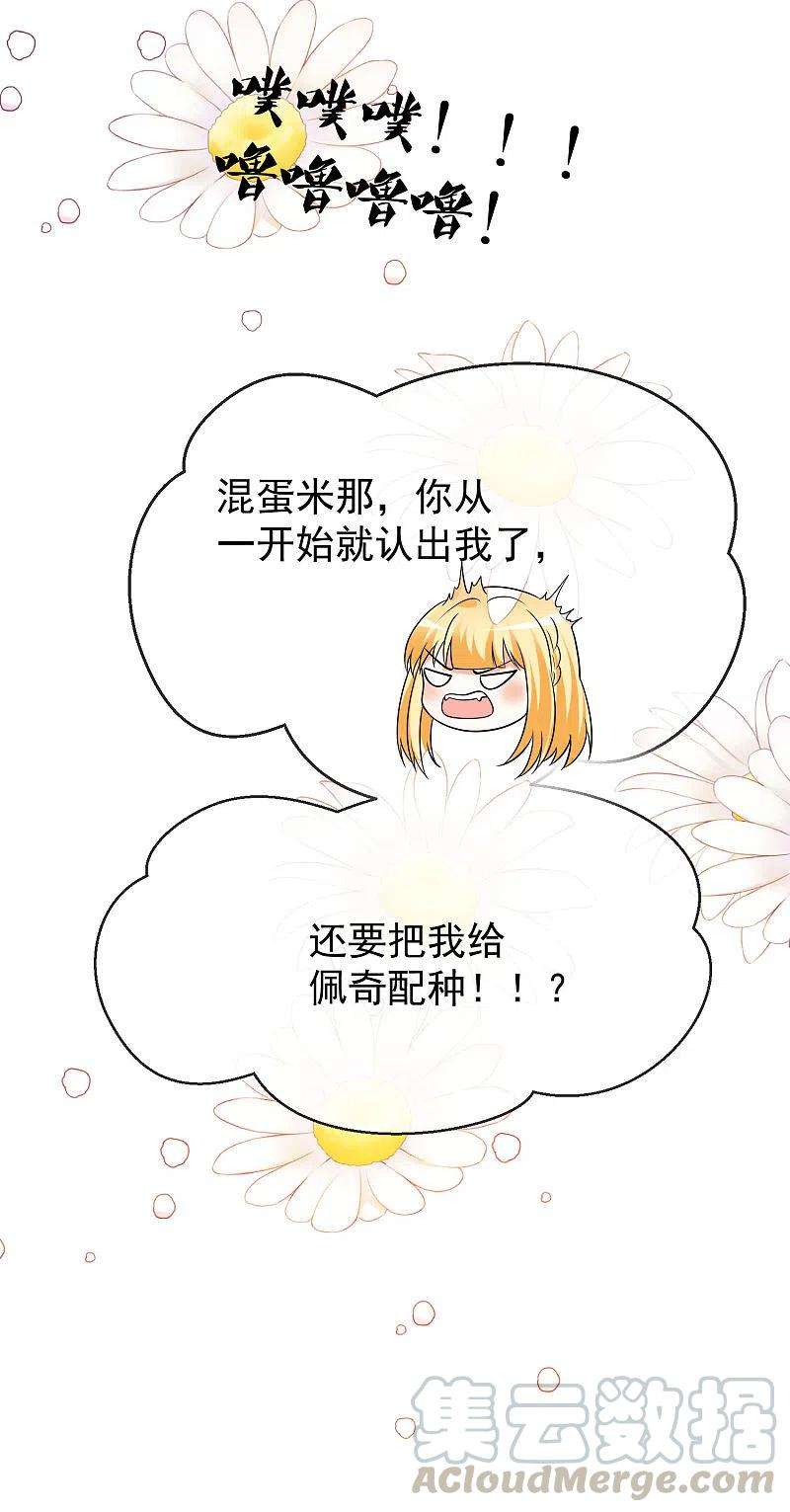 王的第一宠后119话 机智的王早已看穿了一切