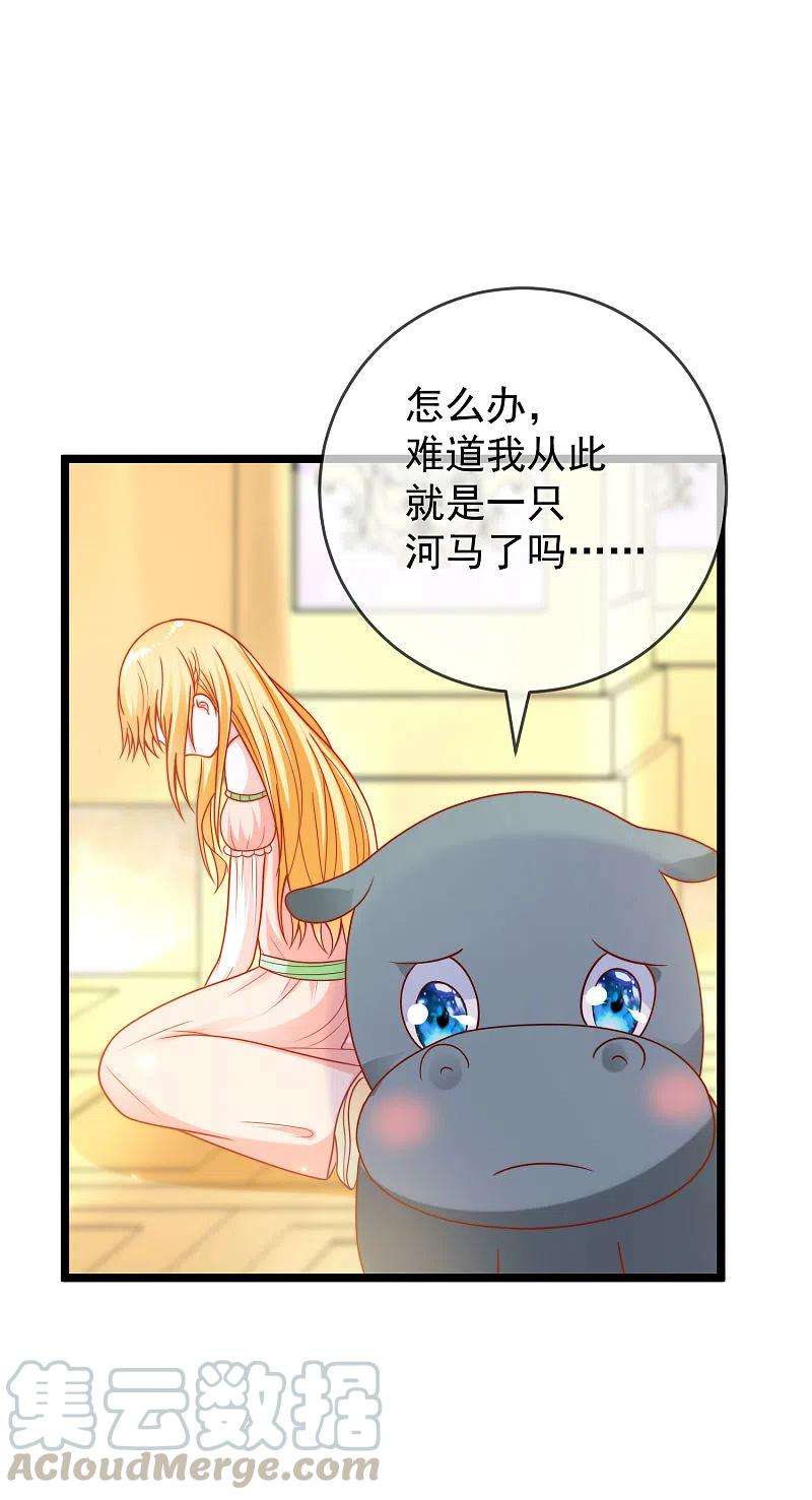 王的第一宠后120话 这么可爱的河马精~