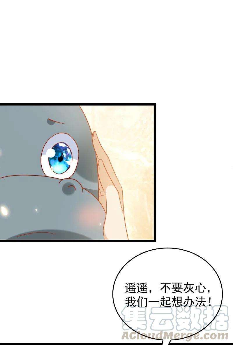 王的第一宠后120话 这么可爱的河马精~
